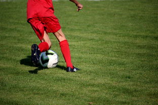 米兰体育-中国篮球教练员战术执行能力评估体系，中国篮球教练员培训等级  第1张