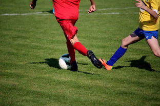 ac米兰-国际极限运动滑板赛中国少年获银牌，滑板竞赛  第4张